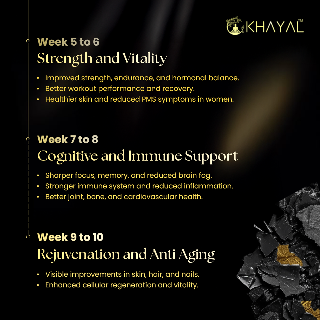 Suryatapi Shilajit Gold (30gm) | Premium Himalayan Resin with Swarna Bhasma & Swarna Vark | For Men and Women