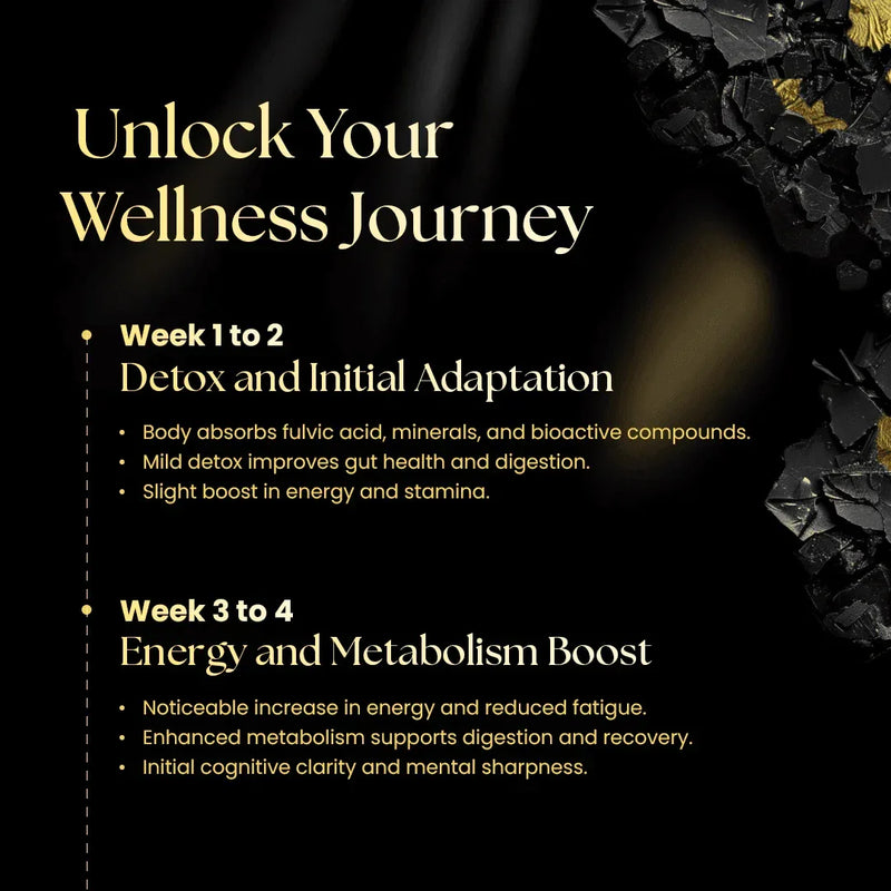 Unlock your wellness journey — week 1 to 4 detox, adaptation, energy and metabolism